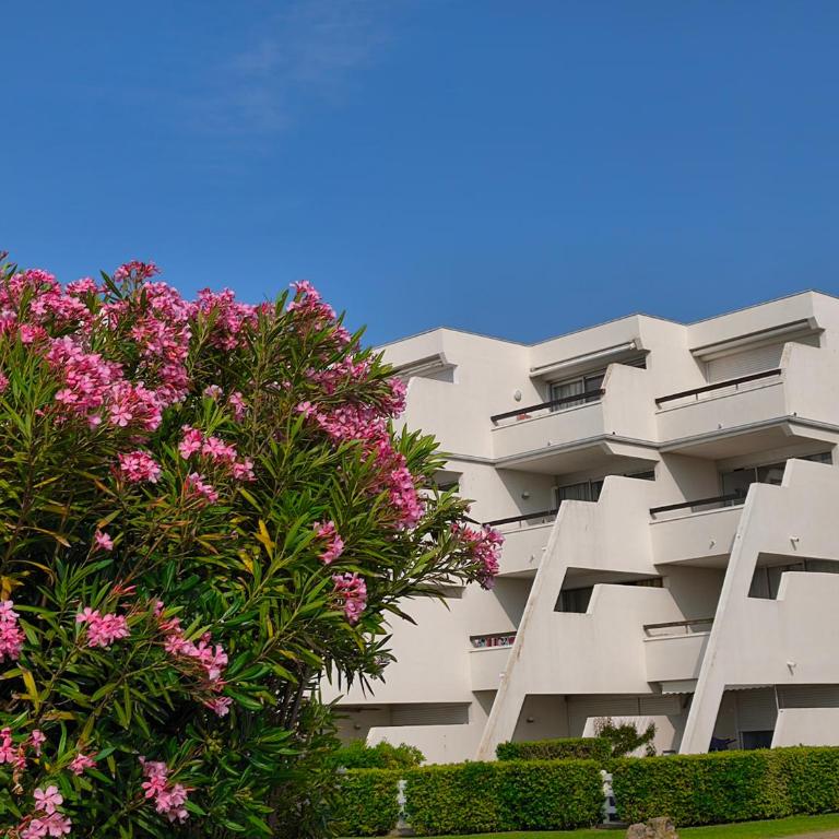 Adoya Plage Studio Vue mer et port Parking gratuit WiFi , Piscine, Tennis - Studio - 16