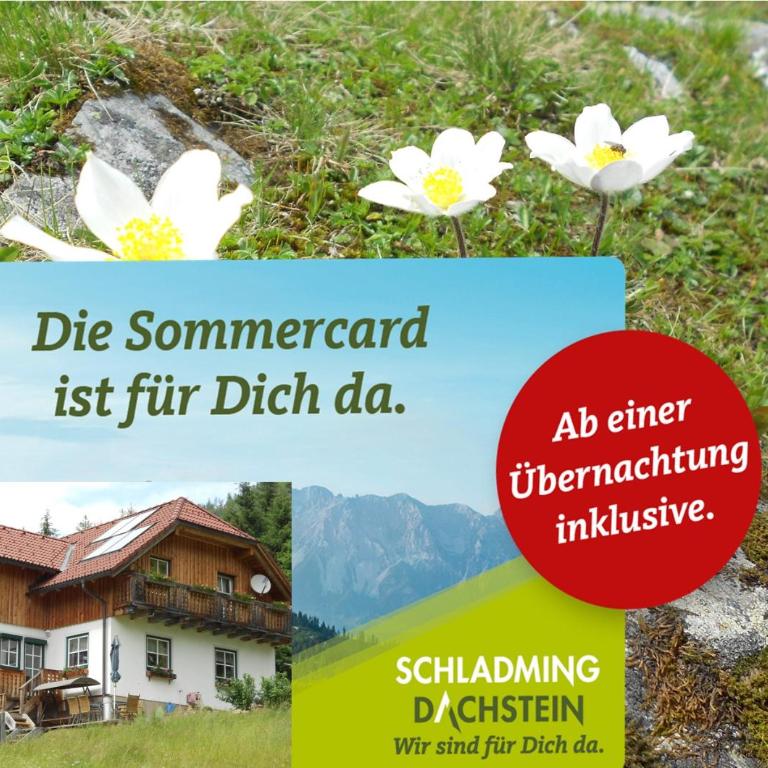 Die KALSBERGERin Ferienwohnung für Genießer - Apartment mit 2 Schlafzimmern - 18