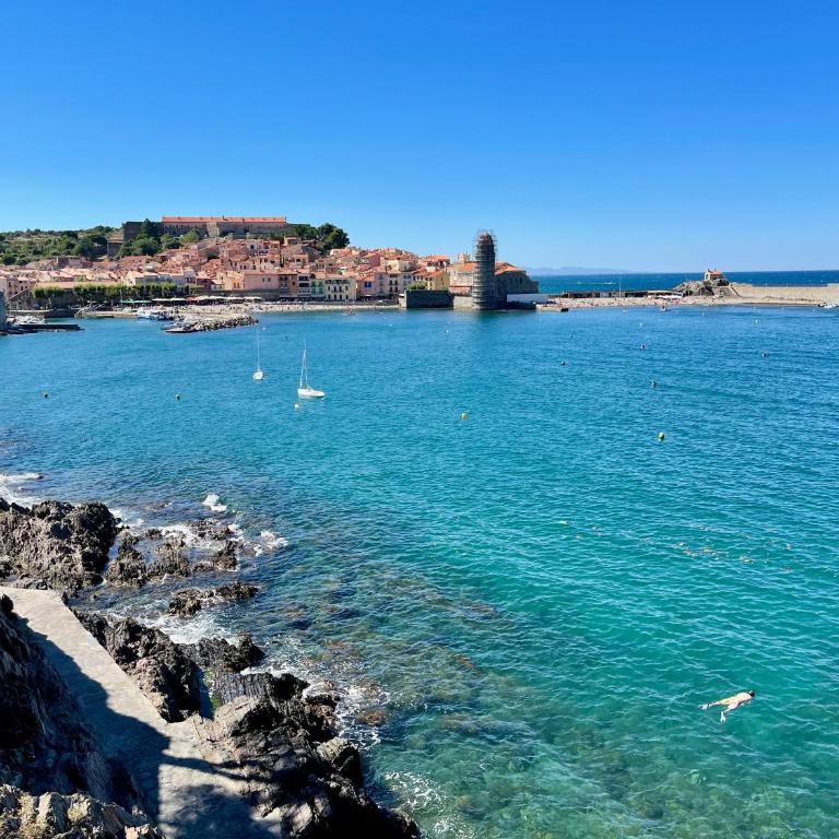 Lumières à Collioure - Appartement 1 Chambre - 52