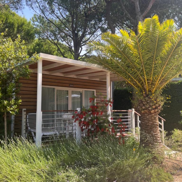 Dune Prestige & Chalets - Chalet con 1 Camera da Letto - 2
