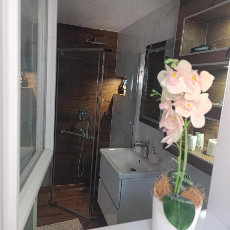 Relax Sarajevo Old Town - Apartman sa 1 Spavaćom Sobom - 36