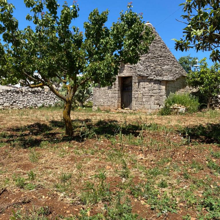 Villa Colinella - Casa con 1 Camera da Letto - 20