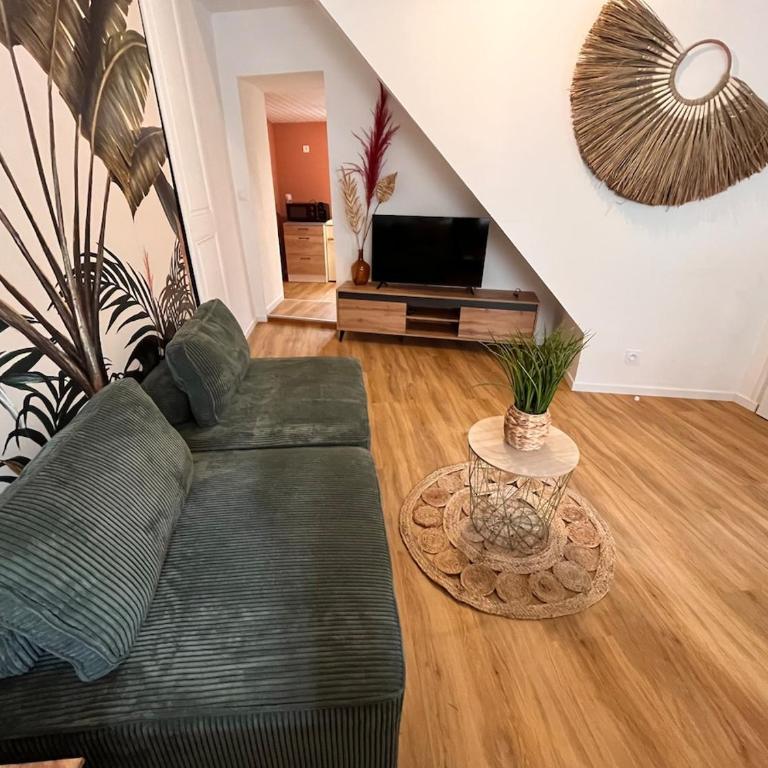 Cocon Jungle Hyper Centre - Appartement 1 Chambre - 2