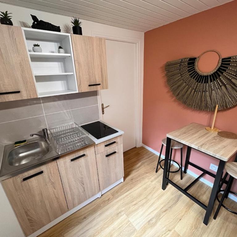 Cocon Jungle Hyper Centre - Appartement 1 Chambre - 7