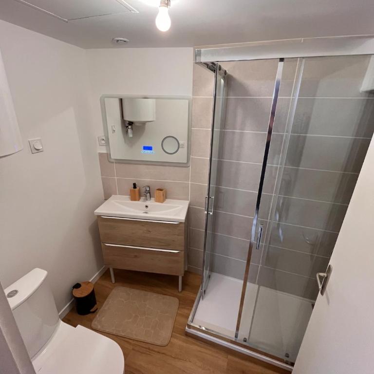 Cocon Jungle Hyper Centre - Appartement 1 Chambre - 11