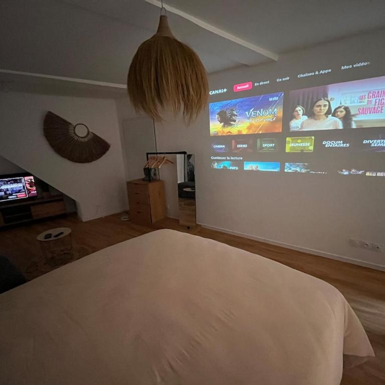 Cocon Jungle Hyper Centre - Appartement 1 Chambre - 14