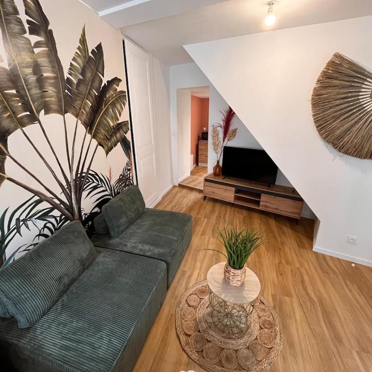 Cocon Jungle Hyper Centre - Appartement 1 Chambre - 3