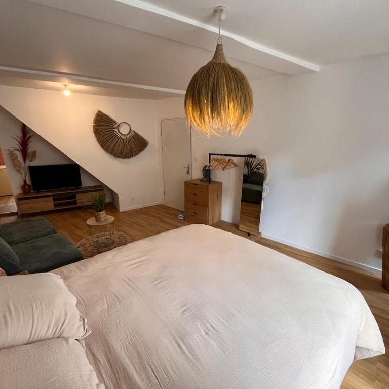 Cocon Jungle Hyper Centre - Appartement 1 Chambre - 6