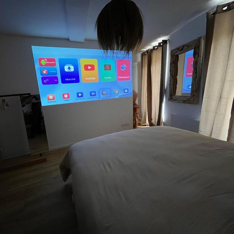 Cocon Jungle Hyper Centre - Appartement 1 Chambre - 15