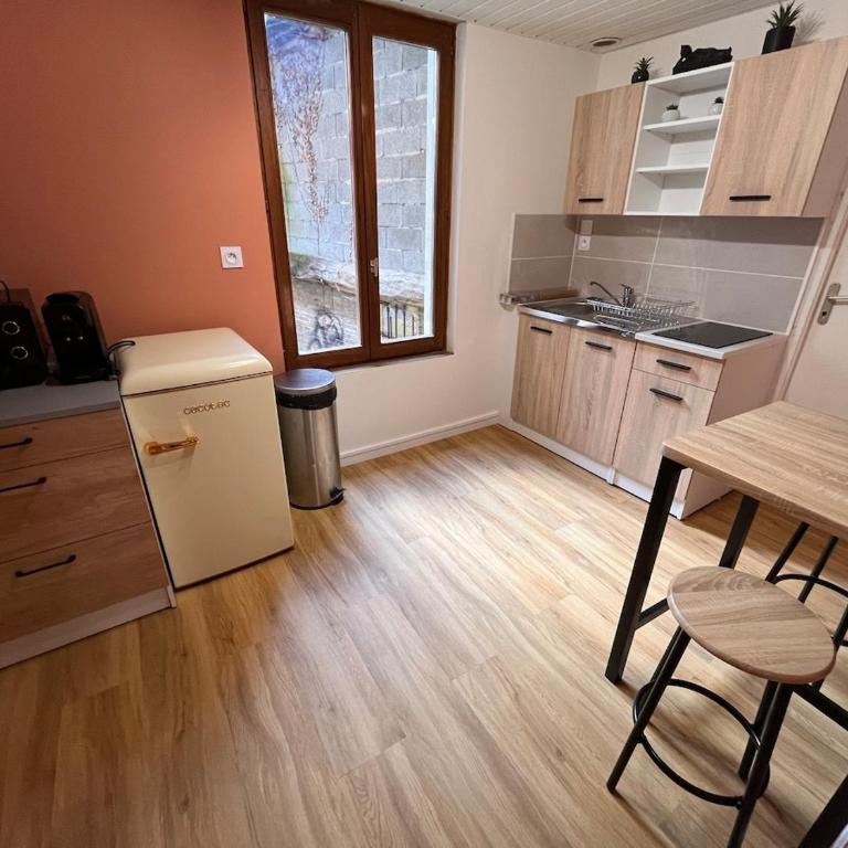 Cocon Jungle Hyper Centre - Appartement 1 Chambre - 9