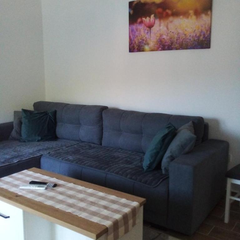 Apartman Nisić - One-Bedroom Apartment - 2