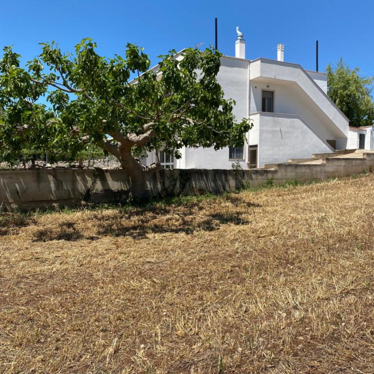 Villa Colinella - Casa con 1 Camera da Letto - 19