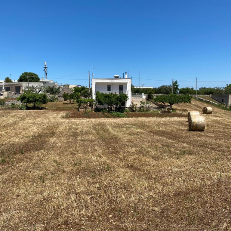 Villa Colinella - Casa con 1 Camera da Letto - 22
