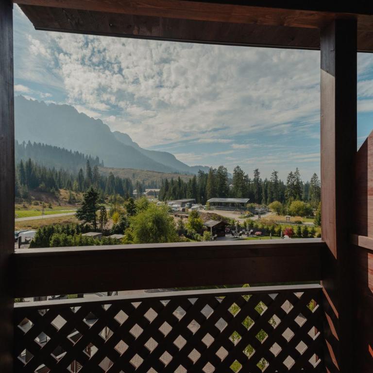 Hotel Alpenrose - Standard Double Room - 4