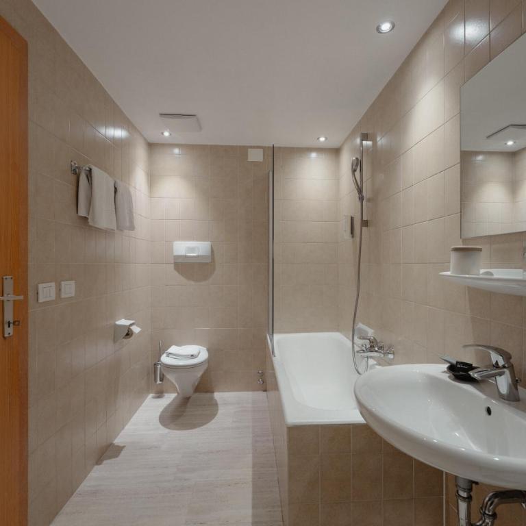Hotel Alpenrose - Standard Double Room - 2