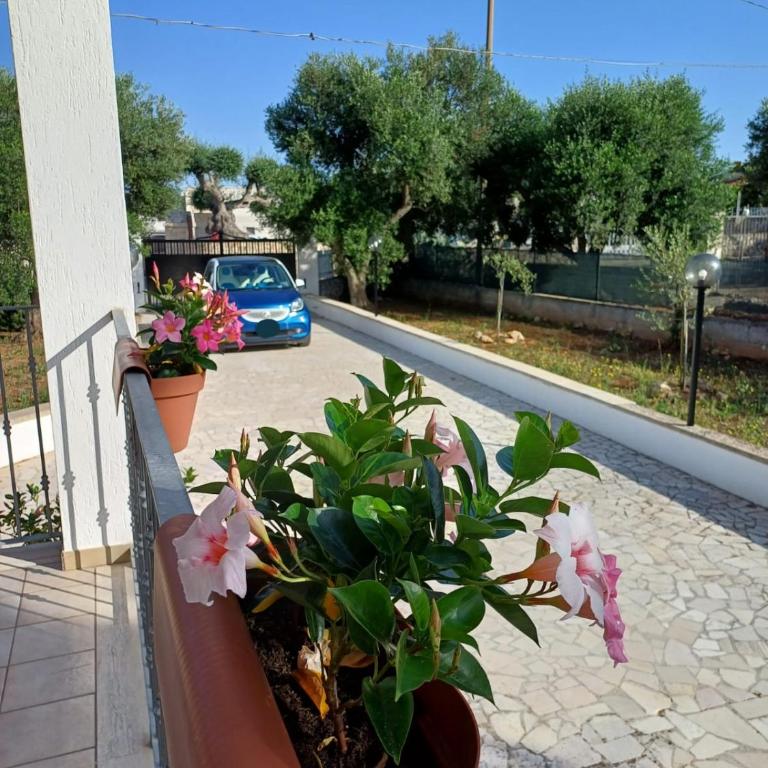 Al Pineto San Matteo - Casa con 1 Camera da Letto - 4