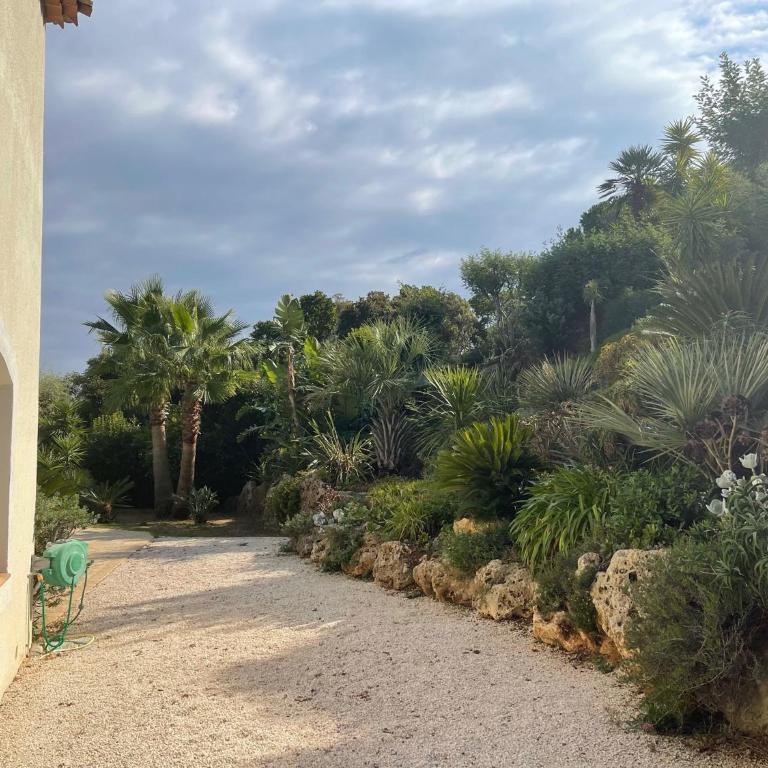 Villa Cigales - Villa - 6