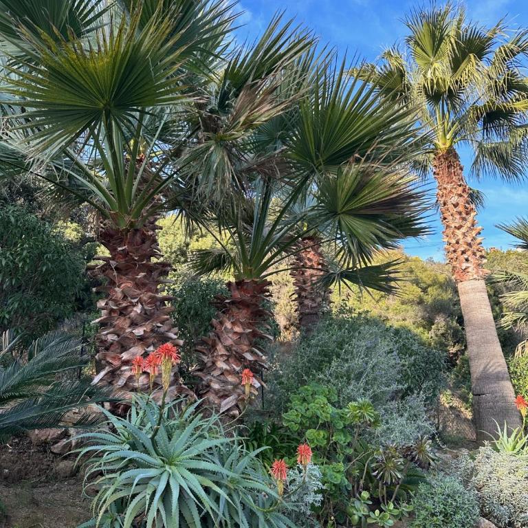Villa Cigales - Villa - 5