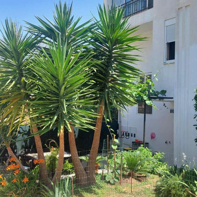 Goran - One-Bedroom Apartment - 1