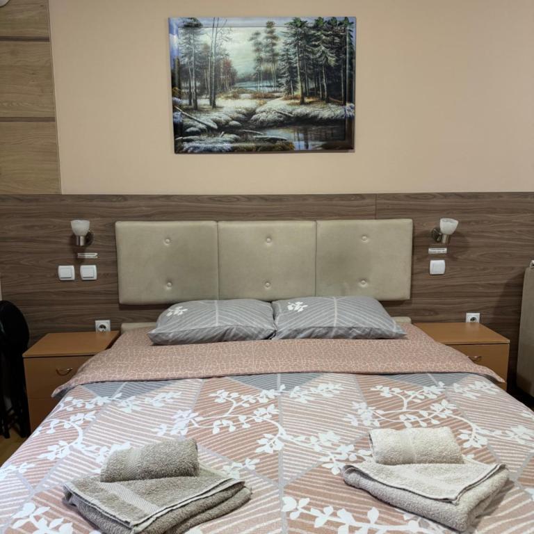 KONAK ViLA MIRKOVIĆ - Porodični Studio - 3