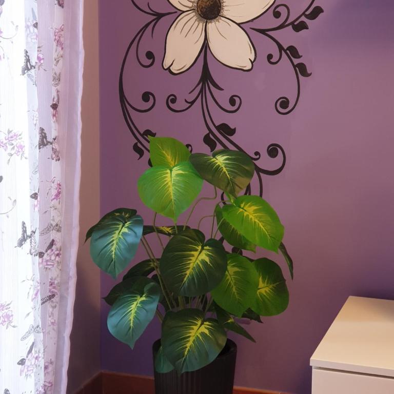 Magnolia House - Appartamento con 2 Camere da Letto - 38