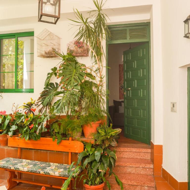 Casa La Poyata - Taganana - Casa de 3 dormitorios - 35