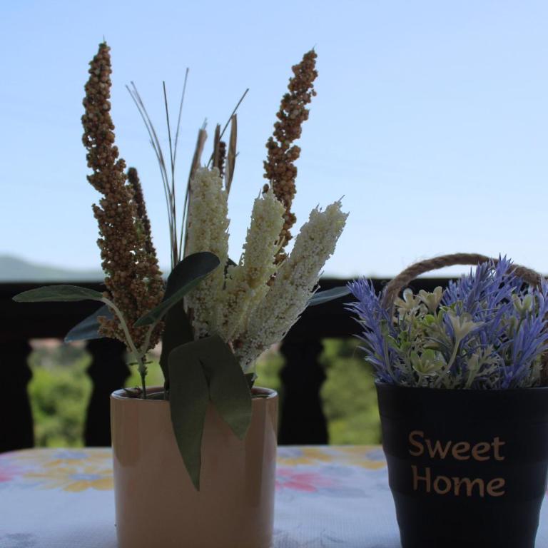 Villa La Vida - Vila - 29