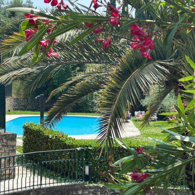 La Verbena a fianco del Vittoriale, vista piscina, 10 minuti a piedi dal lungo lago - Appartamento con 1 Camera da Letto - 1