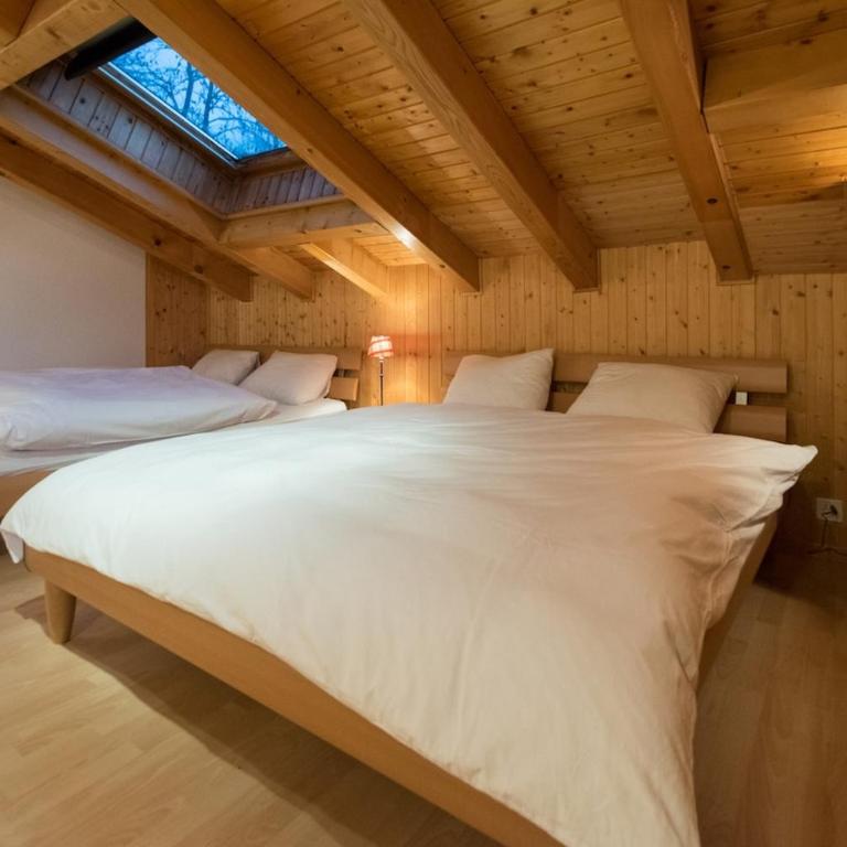 Sunny and spacious apartment in chalet Faigaux in Veysonnaz situated in quiet area with magnificent mountain views - Appartement 3 Chambres avec Vue sur la Montagne - 15