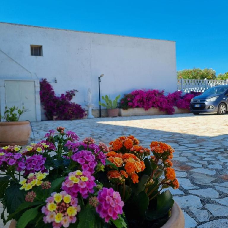 Casa di Campagna - Three-Bedroom House - 35