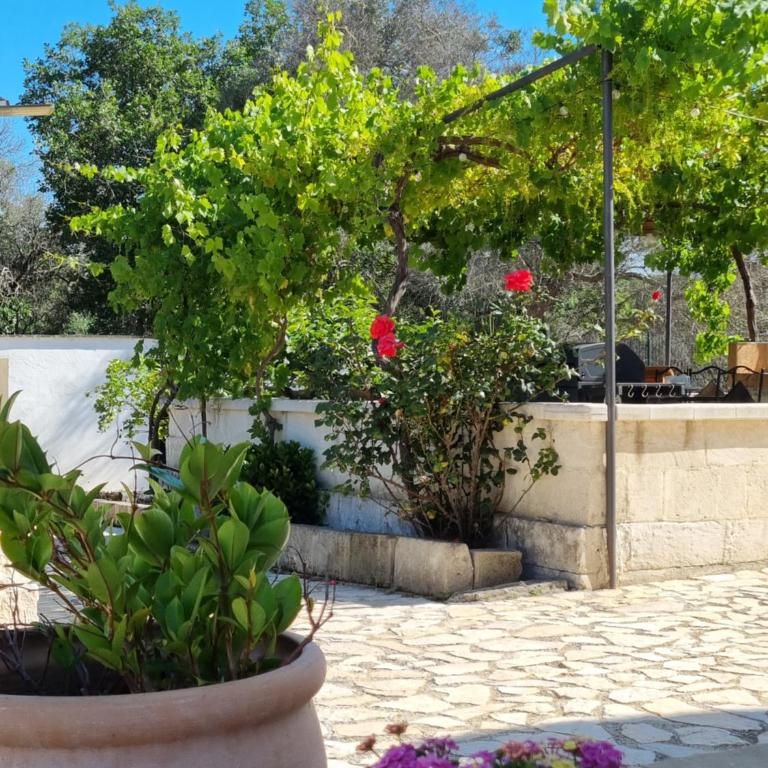 Casa di Campagna - Three-Bedroom House - 43