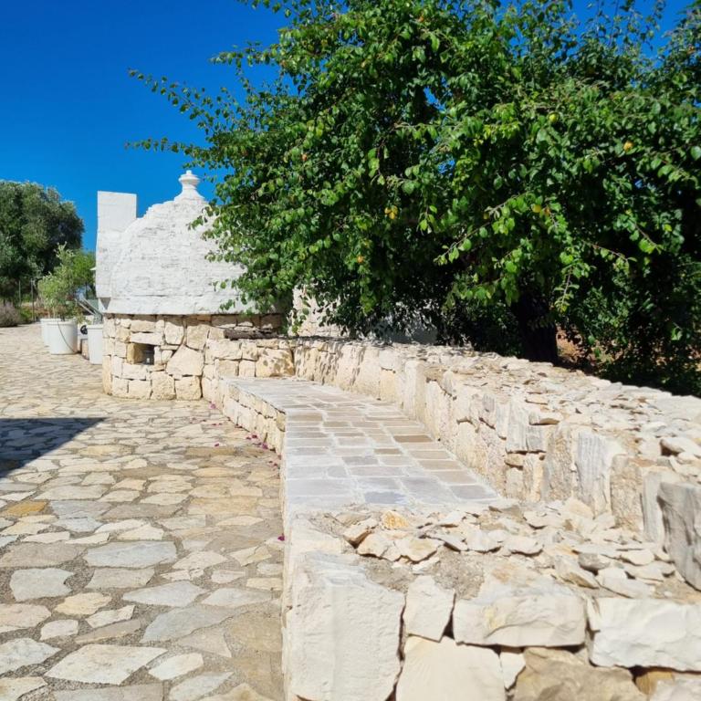 Casa di Campagna - Three-Bedroom House - 48