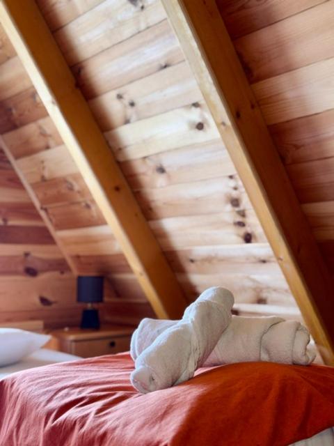 Apartmani i kuće Moje selo Šćepanović - Two-Bedroom House - 23
