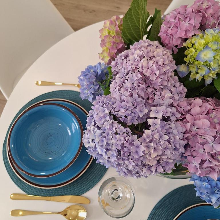 apartman stan Savina - Deluks Apartman - 6