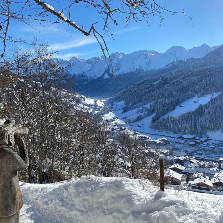 Studio + Cabine 27m² Sud - 4 pers, Grand Bornand, balcon, proche commerces et pistes - FR-1-458-120 - Studio - 15