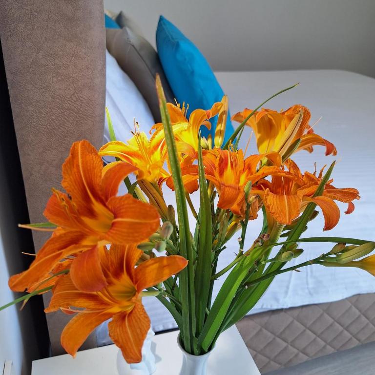 apartman stan Savina - Deluxe Apartment - 8