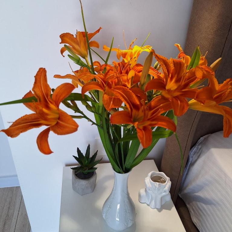 apartman stan Savina - Deluxe Apartment - 3