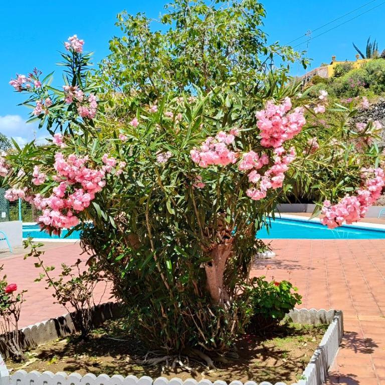 Dúplex Sol y Mar - Apartamento de 1 dormitorio - 47