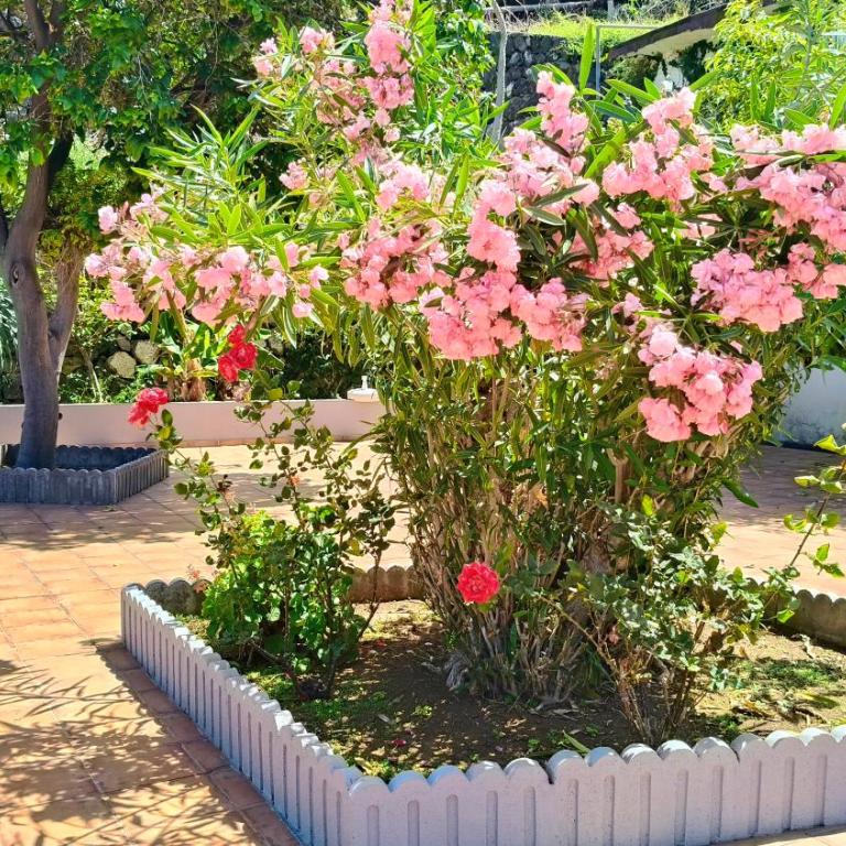 Dúplex Sol y Mar - Apartamento de 1 dormitorio - 50