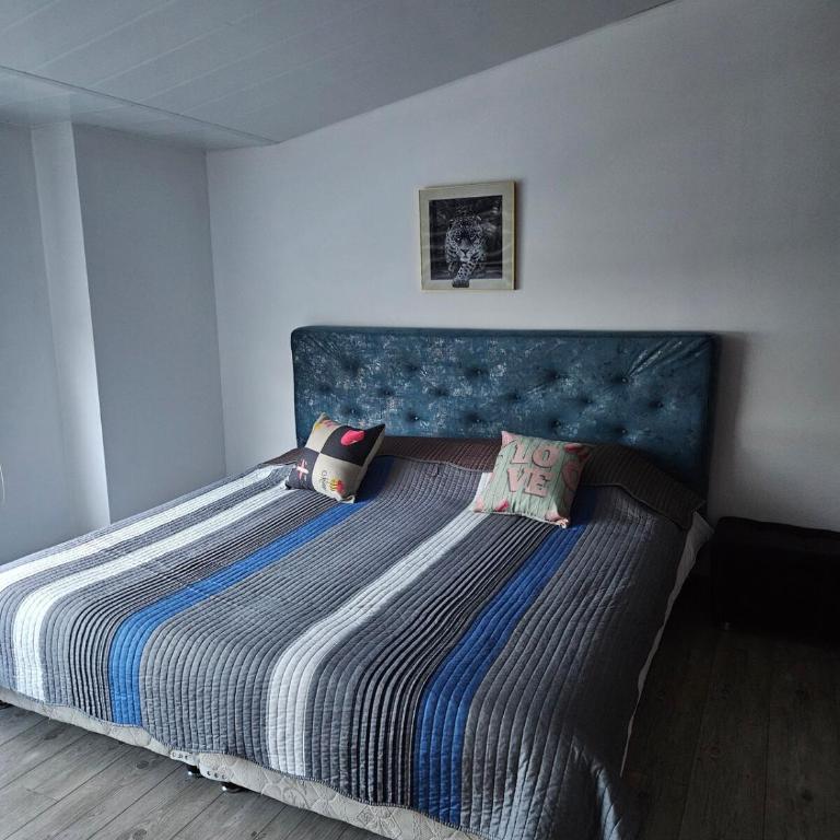 Casa de lujo en Bogotá, Jacuzzi, patio, BBQ - Apartamento - 64