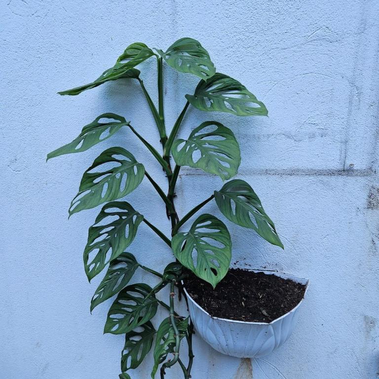 Casa de lujo en Bogotá, Jacuzzi, patio, BBQ - Apartamento - 8