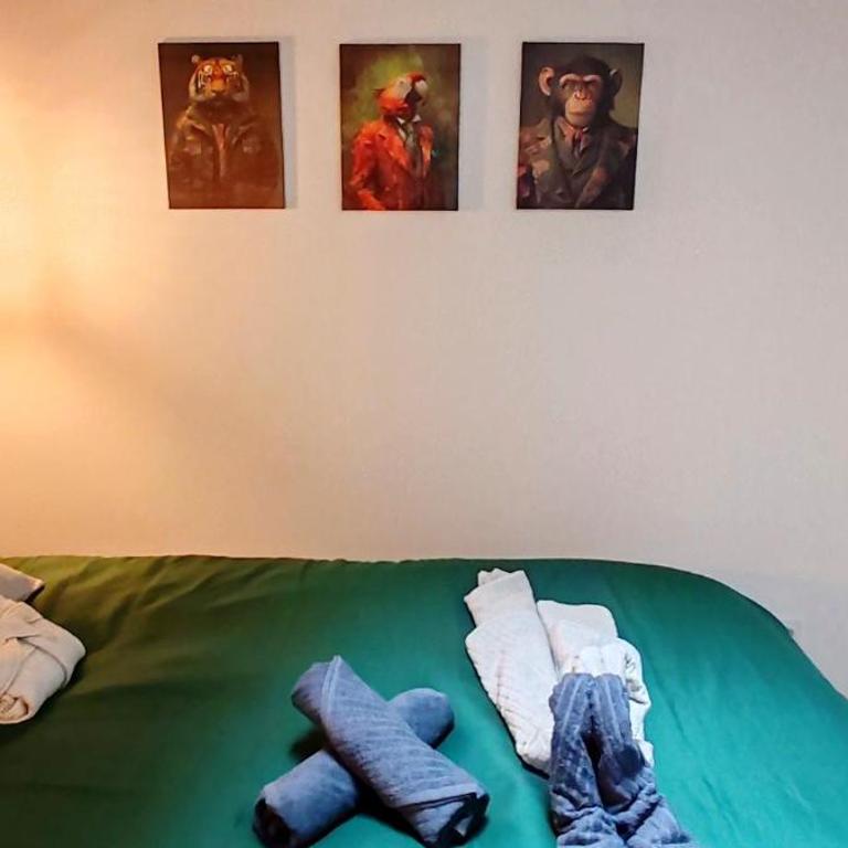 Jungle Room - Sauna, Jacuzzi, Cinéma - Hyper Centre - Appartement Supérieur avec Sauna - 27
