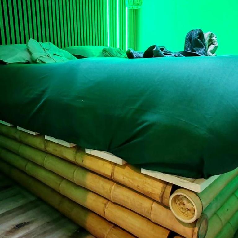 Jungle Room - Sauna, Jacuzzi, Cinéma - Hyper Centre - Appartement Supérieur avec Sauna - 47