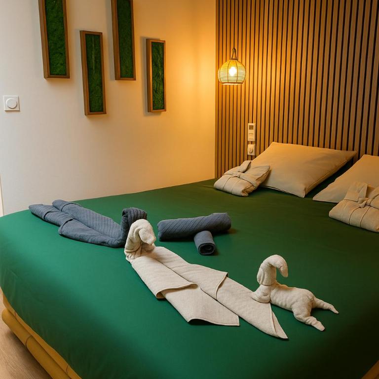 Jungle Room - Sauna, Jacuzzi, Cinéma - Hyper Centre - Appartement Supérieur avec Sauna - 4