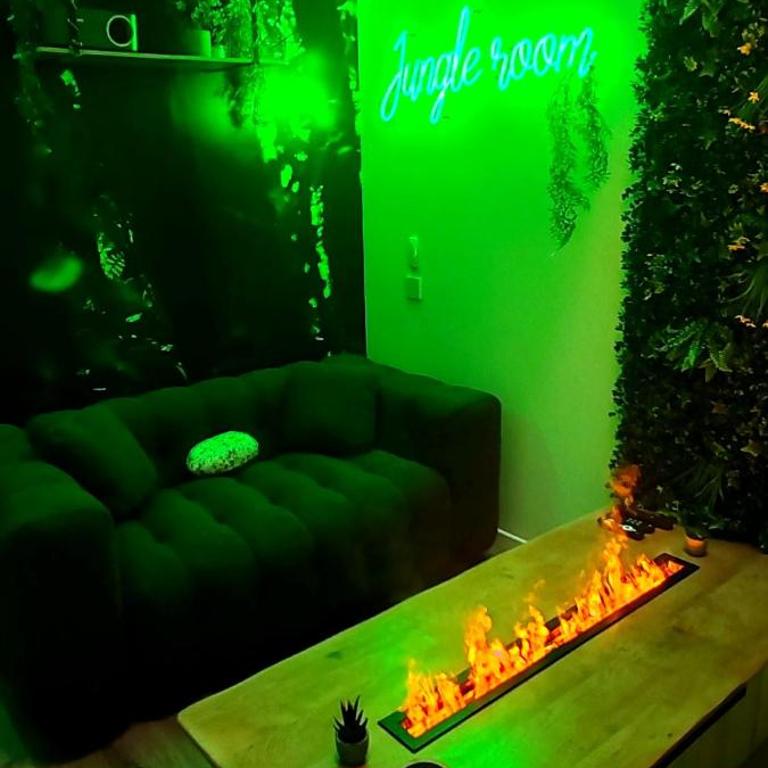 Jungle Room - Sauna, Jacuzzi, Cinéma - Hyper Centre - Appartement Supérieur avec Sauna - 25