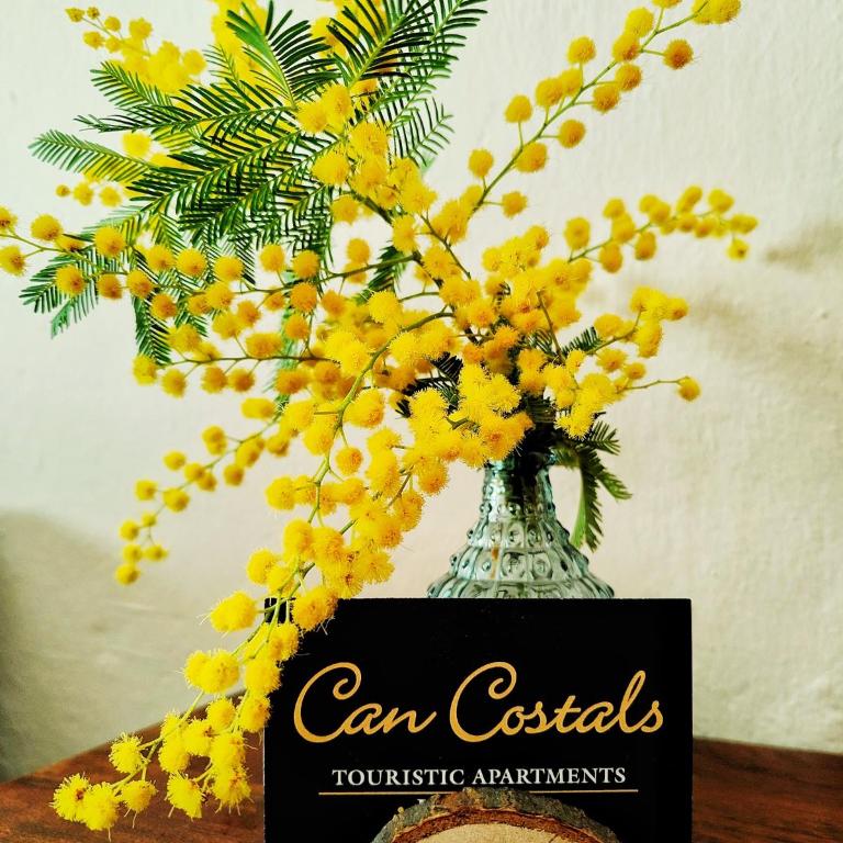Can Costals Olivo - Apartamento de 2 dormitorios - 8