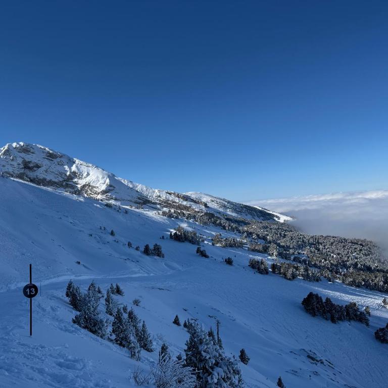 L'écrin du Vercors - Appartamento con 2 Camere da Letto - 35