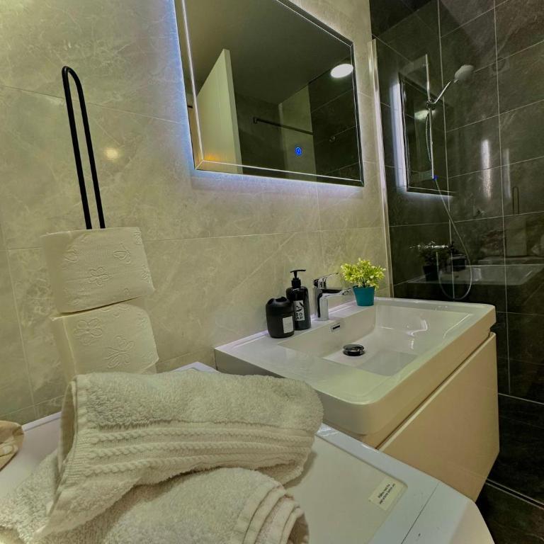 Apartment Clover Sarajevo - Apartman sa 2 Spavaće Sobe i Balkonom - 26