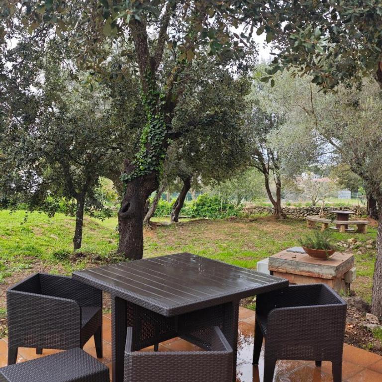 Can Costals Lavanda - Apartamento de 2 dormitorios - 34
