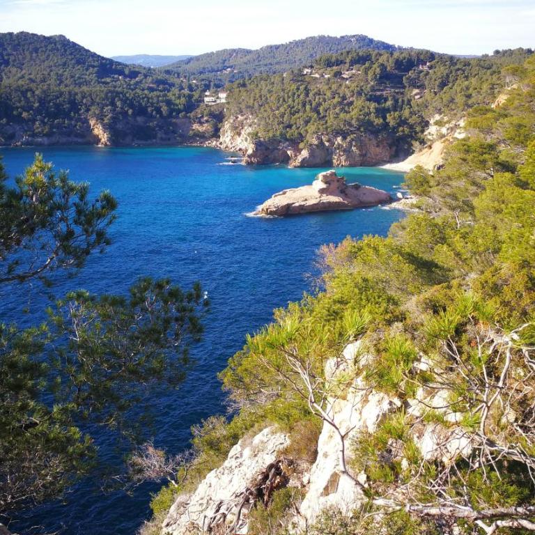 54m2, clim, T2, centre BANDOL, terrasse, TOUT A PIED - Apartment mit 1 Schlafzimmer - 6